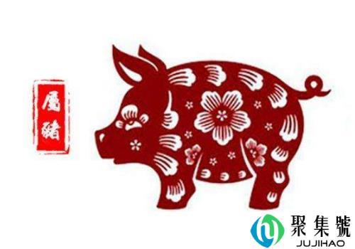 2019年属猪运势怎么样      几月出生最好