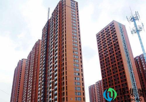 租的房子能养狗吗(租给养狗的人房子是一种什么体验)