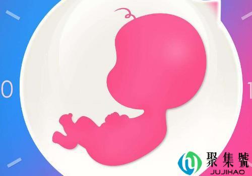 双子宫怎么办       怀孕了有什么注意事项