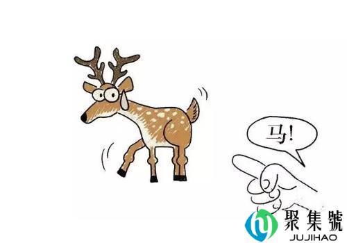 马鹿是什么意思    有什么寓意