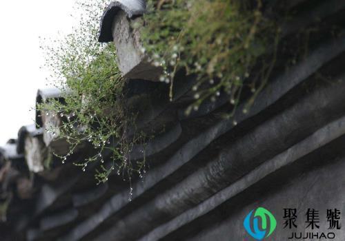 雨水为啥不能喝，烧开了可不可以喝呢