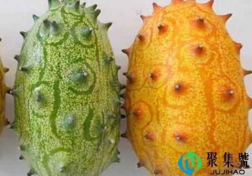 火参果可以放冰箱冷藏吗 需要放黄吃吗