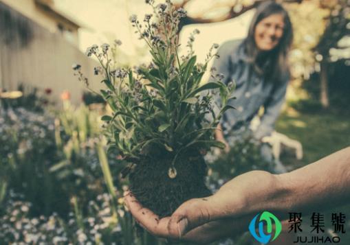 2019年5月1日怎么放假 怎么调休