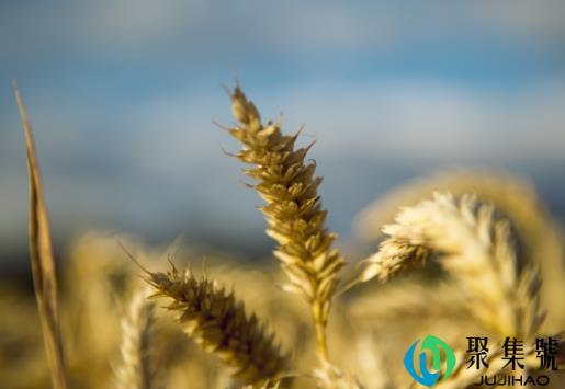 2019关于放假的搞笑说说 周末结束的心情朋友圈