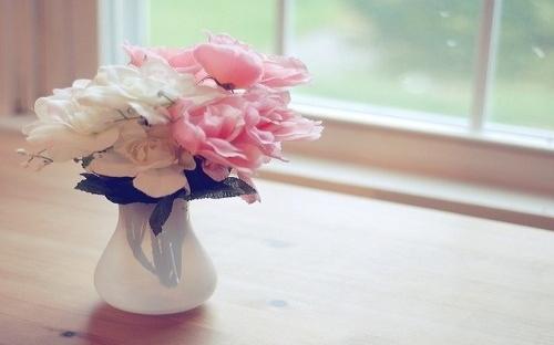 被漏斗形蜘蛛咬了有什么症状 和巴西流浪蜘蛛哪个毒