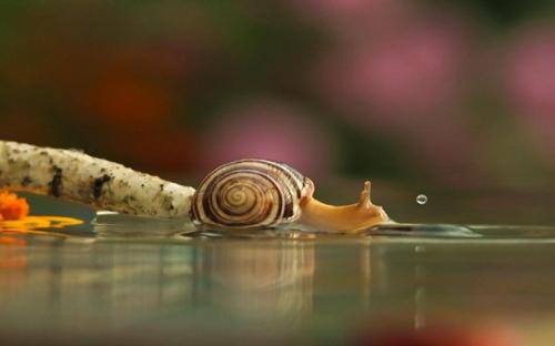 怎么辨别面粉是否发霉 捂了还能吃吗