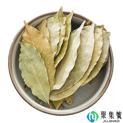 做调料的香叶是什么树的叶子,在哪里可以种植?