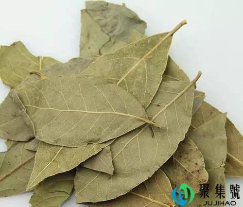 做调料的香叶是什么树的叶子,在哪里可以种植?