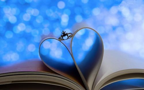 金骏眉怎么喝效果好(金骏眉有什么功效与作用)