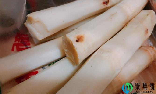 甘蔗一定要打霜了才能下窖吗(甘蔗立着怎样储存过冬)