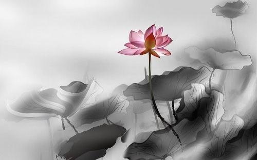 缝纫机油是什么油(缝纫机油是什么油在哪买)