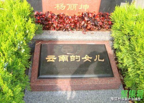 关于惋惜早逝的词句（文案素材)