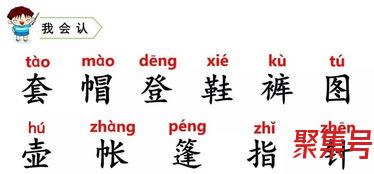 关于丑石字词句（文案素材)