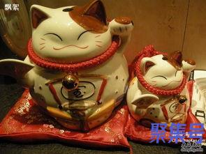 关于赞美律师的词句（文案素材)