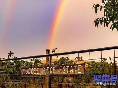 宠溺的句子(被老公宠溺的幸福小短句)