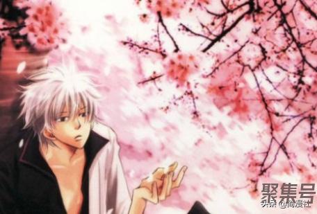 花开灿烂!那些盛开在动漫中的樱花,日本人为何总喜欢借其抒情?
