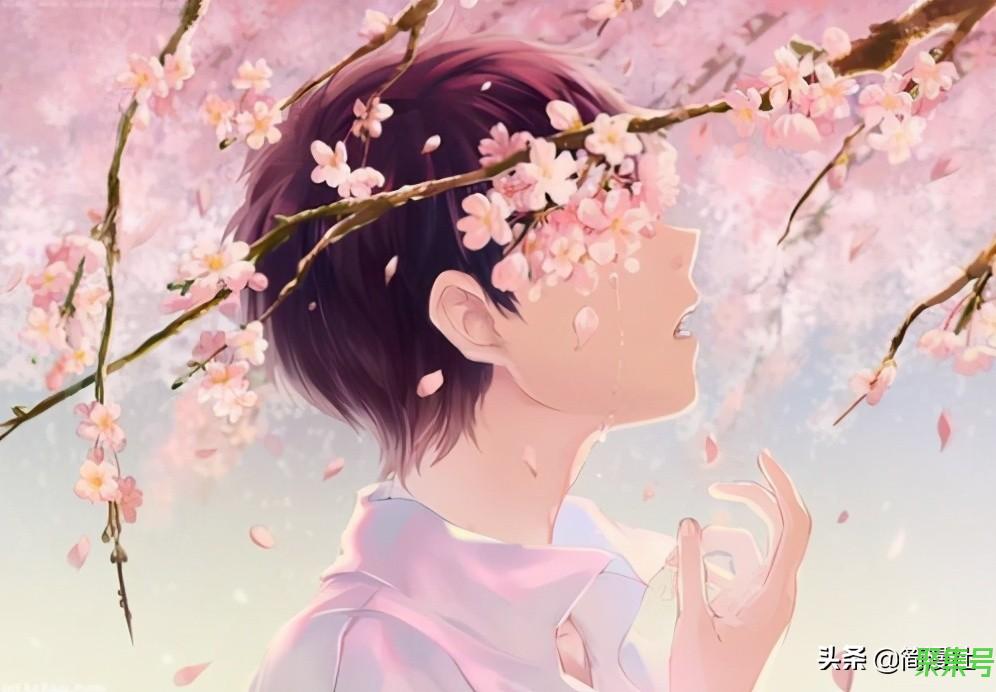花开灿烂!那些盛开在动漫中的樱花,日本人为何总喜欢借其抒情?