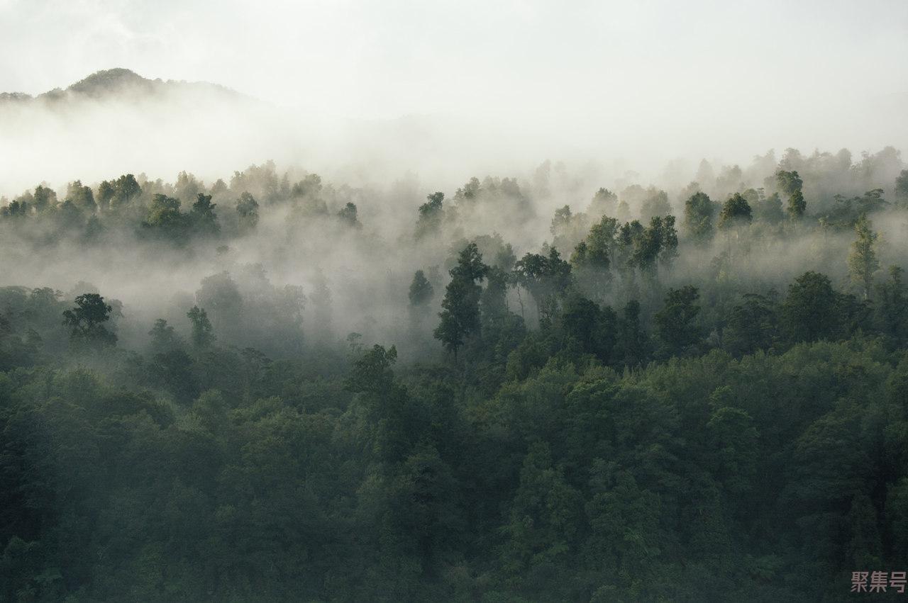 瘴气是怎么形成(瘴气真的存在吗)