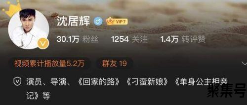 上海导演沈居辉个人资料作品介绍:因拍摄不雅视频获利百万被抓