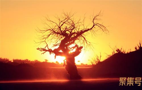 10米高水的压力是多少(10米高的水搭有多少个压力)