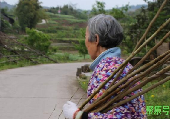 建档立卡是什么意思(建档立卡和低保户的区别有哪些)