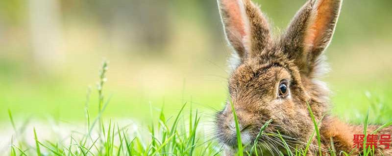 cad线性标注快捷键(cad线性样式快捷键)