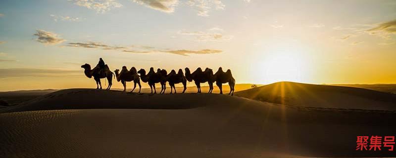 雌是公还是母(dc线公头母头)