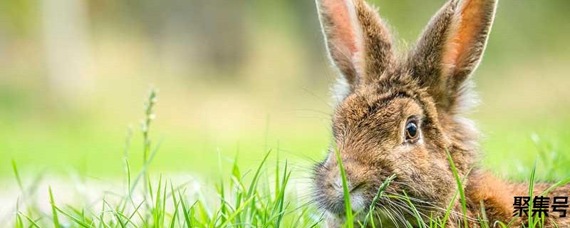 自贡到成都多少公里(成都到自贡高铁时刻表)
