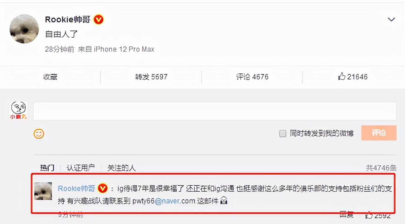 Rookie深夜宣布自由人身份(rookie是什么意思)