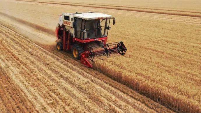 今年全国粮食总产量是多少公斤(2021全国粮食总产量13657亿斤)