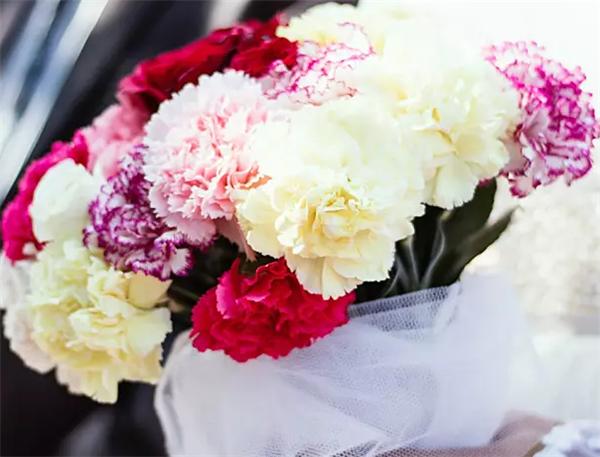 母亲节短信祝福语短句(母亲节祝福语简短独特)