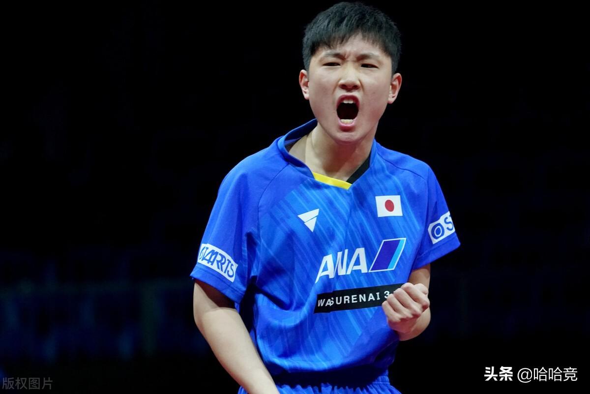 樊振东获得WTT世界杯男单冠军(樊振东4比1获胜)