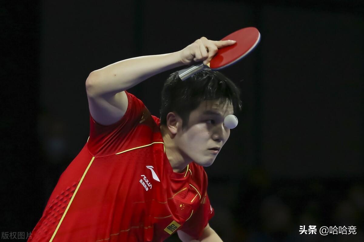 张本智和挑战国乒未果,樊振东4比1获胜,世乒赛后再夺顶级赛冠军