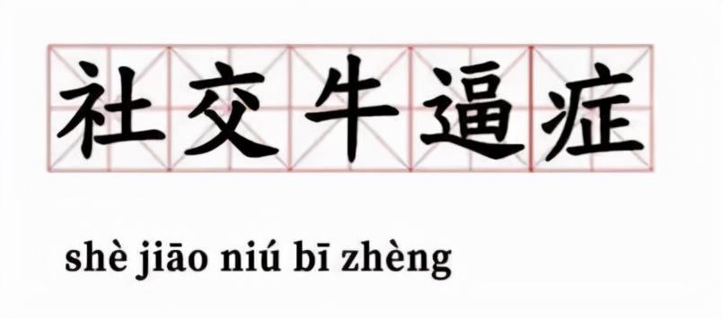 社交牛杂症,我终于找到我的定位了