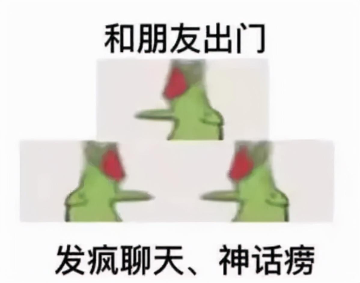 社交牛杂症,我终于找到我的定位了