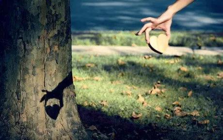 形容一个人低调有内涵的句子(简单低调有内涵的句子)