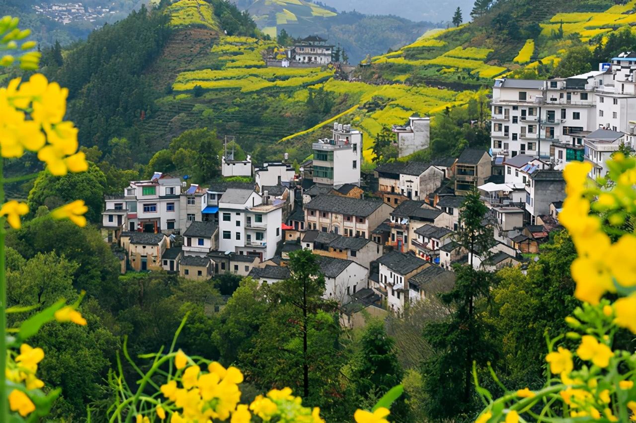 春分是什么意思含义介绍,二十四节气春分是什么意思