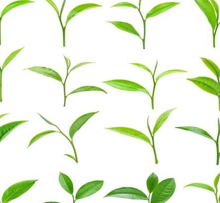 二十四节气表（十二节气表顺序排列）