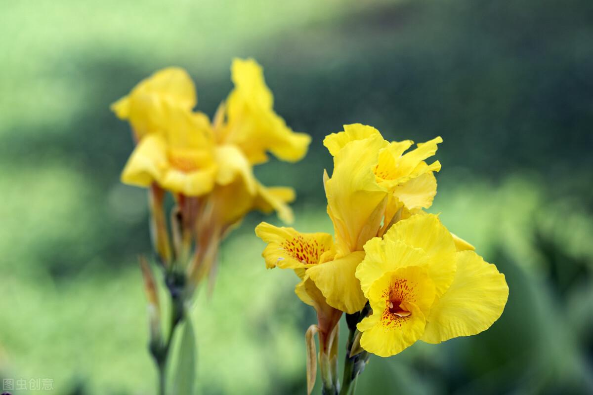 千里姻缘一线牵(千里姻缘一线牵整首诗)