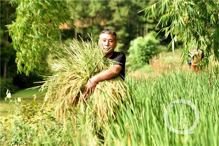 颁奖!他们是2020年度感动重庆十大人物