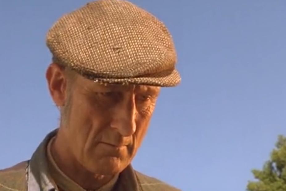 励志电影《小猪宝贝》,摆脱天生的命运,活出自己的人生