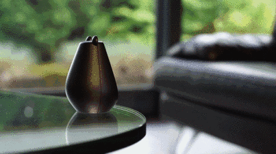 这只小胖熊是你的生活好帮手