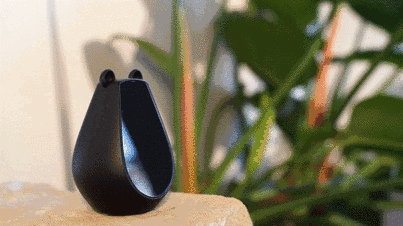 这只小胖熊是你的生活好帮手