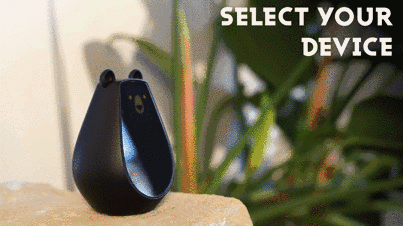 这只小胖熊是你的生活好帮手