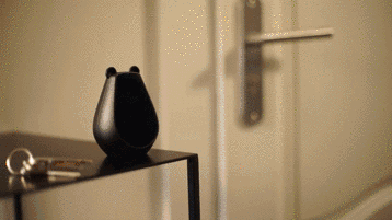 这只小胖熊是你的生活好帮手