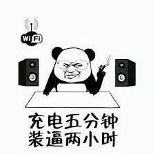 这只小胖熊是你的生活好帮手