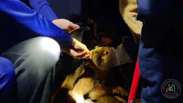 厦门潘涂事件(厦门潘涂事件处理结果)