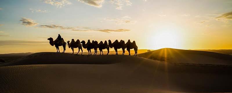 昆山联通宽带(昆山联通宽带怎么样)