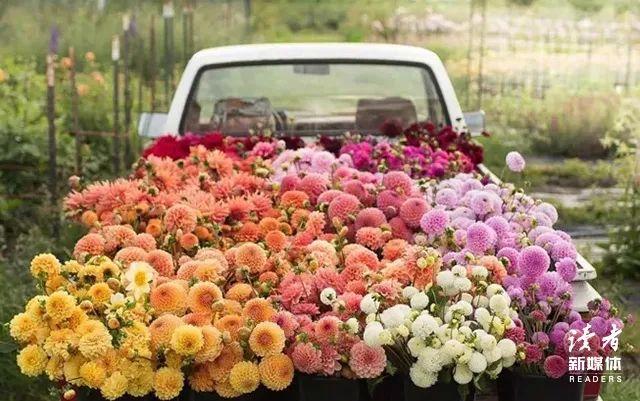 七夕朋友圈怎么发独特一点(七夕发朋友圈的经典句子)