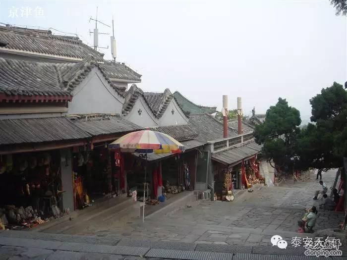 泰山原野户外(泰山原野户外 君子木地图)